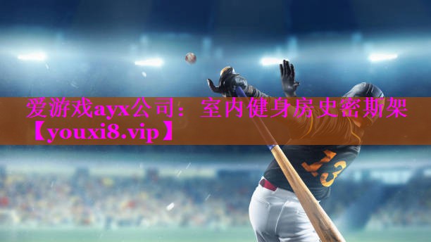 爱游戏ayx公司：室内健身房史密斯架