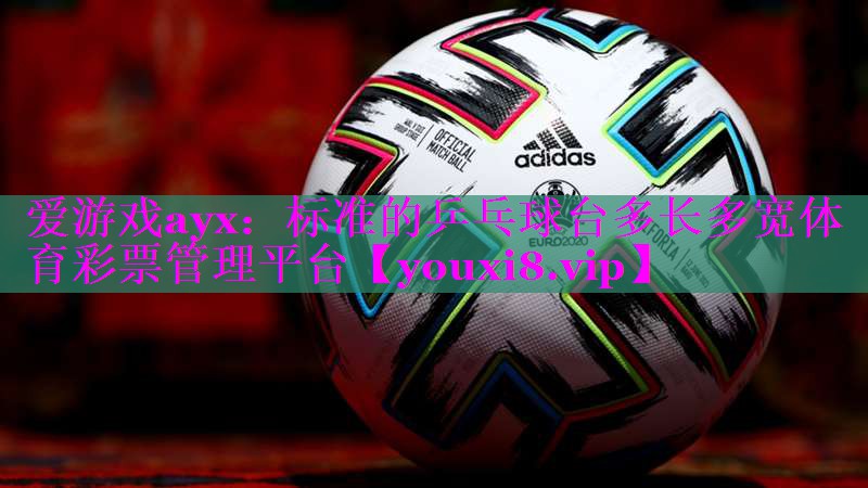 爱游戏ayx：标准的乒乓球台多长多宽体育彩票管理平台