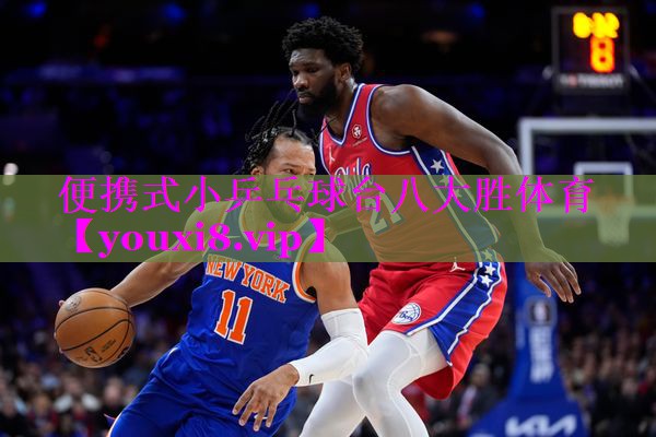 便携式小乒乓球台八大胜体育