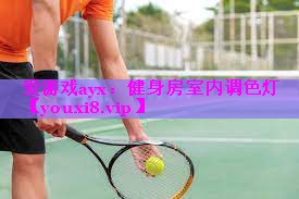 爱游戏ayx：健身房室内调色灯