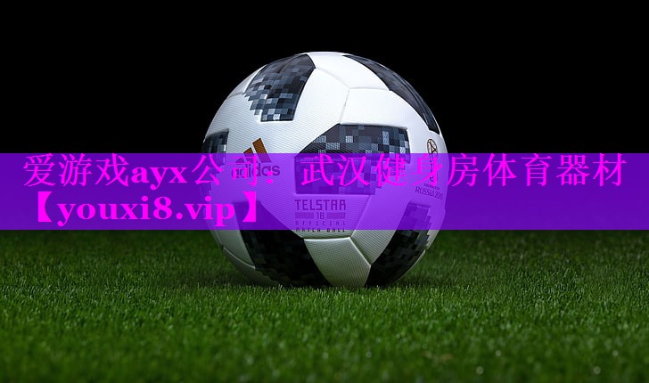 爱游戏ayx公司：武汉健身房体育器材