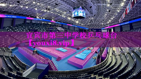 宜宾市第三中学校乒乓球台 宜宾市第三中学校乒乓球台