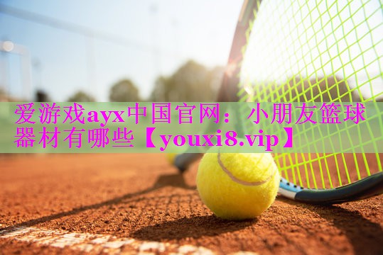 小朋友篮球器材有哪些 小朋友篮球器材有哪些