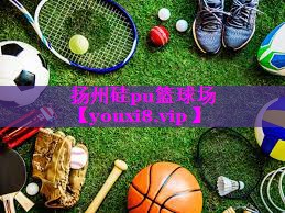 扬州硅pu篮球场 扬州硅pu篮球场