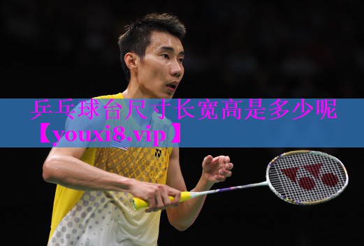 乒乓球台尺寸长宽高是多少呢
